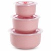 3-Piece Wheat Straw Food Storage Bowl Set for Meals –