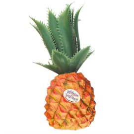 Rhythm Tech Fruit Shaker (RT2054) Piña