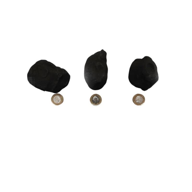 Gas Fire Coals 20 Replacement Random Shaped Cast Coals In