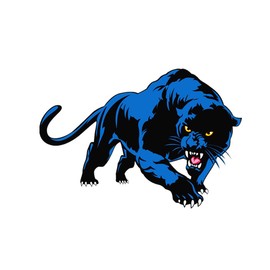 SEADEAR Car Door Sticker,3D Waterproof Panther Car Stickers Self-Adhesive Vinyl Graphics Decals Universal Car Decals Panther Cartoon Vinyl Sticker Car Body Scratch Stickers Blue Right