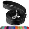Joytale Padded Handle Dog Lead,Double-Sided Reflective Nylon Dogs Leads for