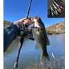 Yangmumeizi Fishing Pliers, Gripper - Stainless Steel Hooks, Cutters 、
