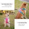 PHOEPET No Pull Dog Vest Harness with Unique Colors，Adjustable Reflective