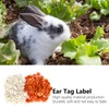 100 Sets Rabbits Ear Tag Numbered Ear Marker Animal Identification