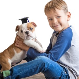 2Pcs Dog Doctoral Caps with Tassel Graduation Party Costume for Small Pets Adorable Decorative Pet Hats for Celebrations