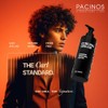 Pacinos Curling Cream - All Day Cream For Curly Hair