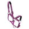 Adjustable Horse Headcollar, Training Halter, Heavy Duty Nylon Padded with
