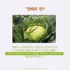 Doctor Baidu Cabbage Enzyme Mastic Alpha 60 tablets x 3