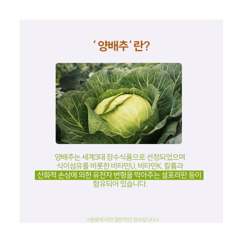 Doctor Baidu Cabbage Enzyme Mastic Alpha 60 tablets x 3