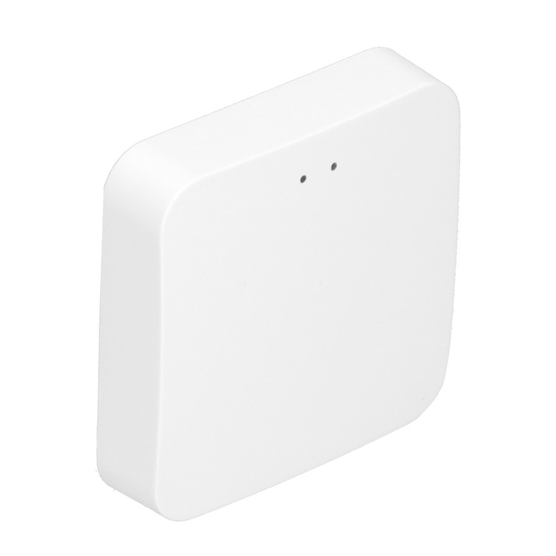 Intelligent Wireless Gateway Hub WiFi 802.11 B/g/n AI Voice Control