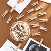 20 Wood Clips with 30 Thumb Tacks and Storage Case