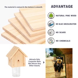 Carpenter Bee Trap for Outside - Best Bee Trap - Cabin Style Nature Hanging Wood Carpenter Bee Traps Outdoor - Insect Traps with Removable Vault (1 Pack)