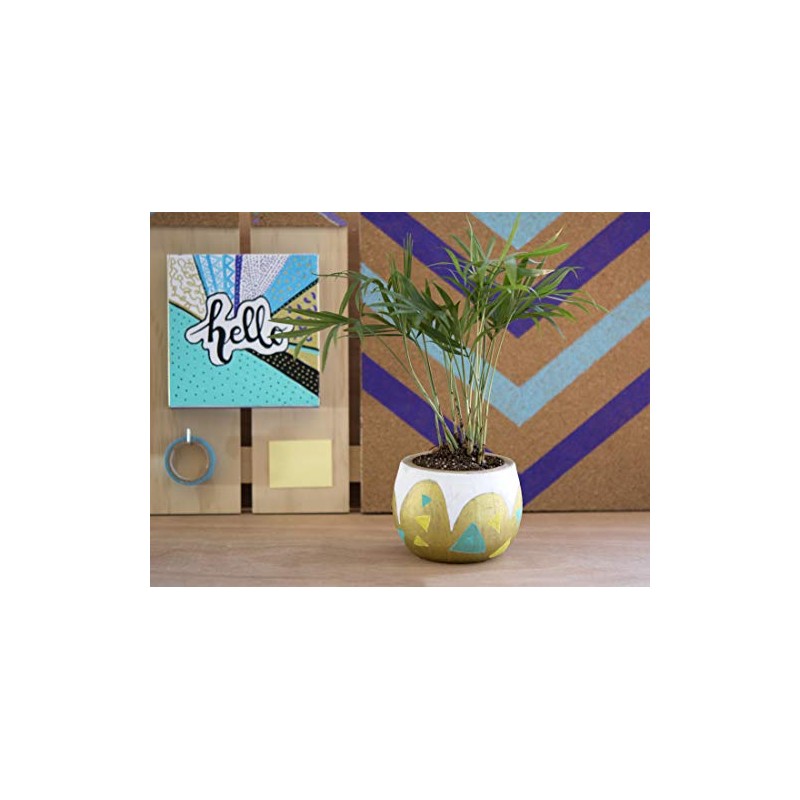 Pilot Pintor - Pack of 4 - Black - Extra