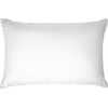 IHG Touch of Down Pillow Found in Holiday Inn Express,