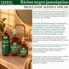 Difeel Superior Growth Jamaican Black Castor Premium Hair Oil 7.1