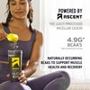 Ascent Casein Protein Powder - 25g Micellar Casein Powder with
