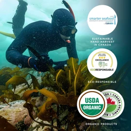 Marine Spirulina (Ao Nori) Seaweed Flakes - 250g - Canadian, Organic and Eco-Friendly Certified - Easy to use Sea Vegetable - Hand harvested - Un Ocean de Saveurs