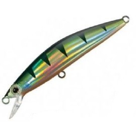 SHIMANO(シマノ) 刀雅67HS尺上仕様 TN-067J ホロパーチ 12T 73068
