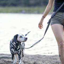 NUVUQ - 5-in-1 Multifunctional Hands-Free and Shock Absorbing Reflective Dog Leash, Adjustable from 4FT/120cm to 6FT/180cm (Black Pepper)