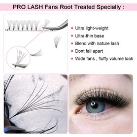 Ready-to-Use Fan Eyelash Extensions, Short Stem Volume Eyelashes, 0.10 C Curl (7D-D-0.07, 13 mm)