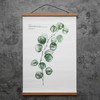 FALAMON 2 Pack Magnetic Poster Hanger Frame, Teak Wood Magnet