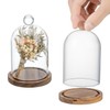 MyGift 5 Inch Mini Clear Glass Bell Display Cloches with