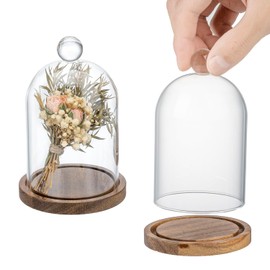 MyGift 5 Inch Mini Clear Glass Bell Display Cloches with Premium Acacia Solid Wood Base, Decorative Dome Cover Stands for Small Heirloom Jewelry Curios Keepsakes, Set of 2