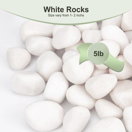 Pulovin 5 lbs White Rocks for Plants Indoor, 1-3 inch Decorative Garden Stone Outdoor Landscaping, Walkways, Yard, Large Polished River Rocks for Plants Pots, Vases, Crafts