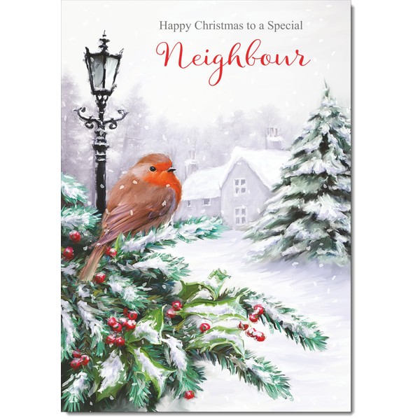 doodlecards Neighbour Christmas Card Robin by Lamp Medium Size Christmas