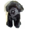 Labrador (Black) Soft Toy 12"