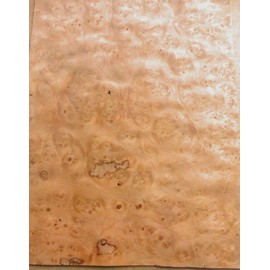 Pimento Pepperwood Burl Wood Veneer 11" x 15" raw no Backing 1/42" Thickness
