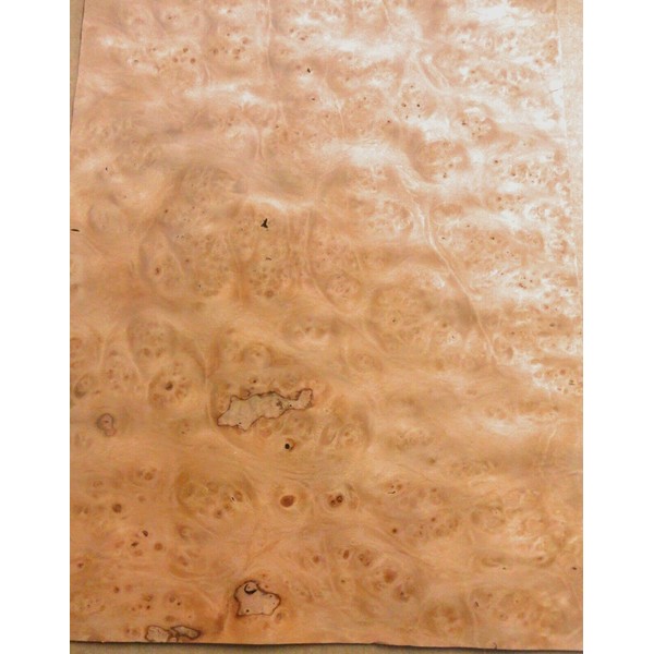 Pimento Pepperwood Burl Wood Veneer 11" x 15" raw no