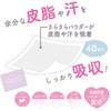 Shobido CW74479 Chiikawa Smooth Bangs Sheet (Fairy)