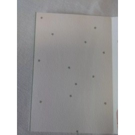 American Greetings You Deserve a Comfy, Cozy Christmas ~ Christmas Card with envelope