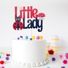 Decoración para tarta de cumpleaños con diseño de mariquita pequeña