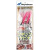Hayabusa Jigging Sabiki for Root Fish, 0.8 gal (3 L)