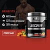 Core Champs BCAA Powder 7000mg | Branched Chain Amino Acids