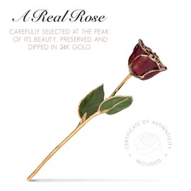 Forever Rose Bloom Box Bundle, 24K Gold Dipped Garnet Rose, The January Birthstone, Real Garnet 24k Gold Dipped Rose, Hand Dipped, 11" to 12" in a Beautiful Phantom Vase and Blooming Box