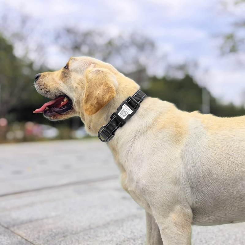 Dog Collar with QR Code, Reflective Dog Collar, Soft Neoprene