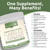 Lignans for Life - Natural Bulk Ground Flaxseed Powder -