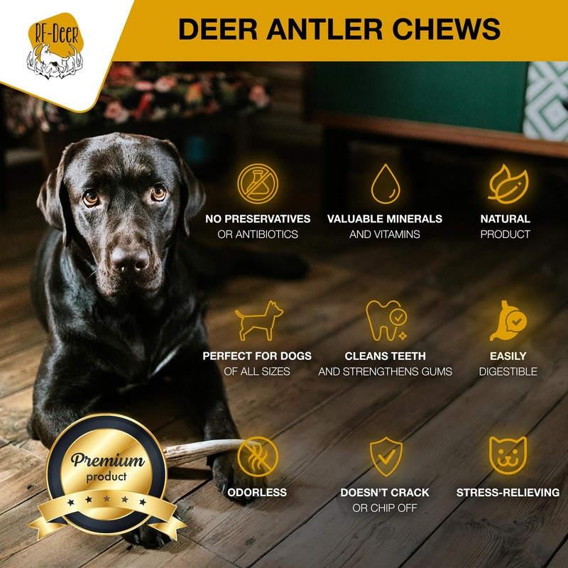 RF - Deer Dog Chew Rope with Deer Antlers, 55-60