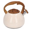 Whistling Tea Kettle 3L Large Capacity Home Stainless Steel Whistle
