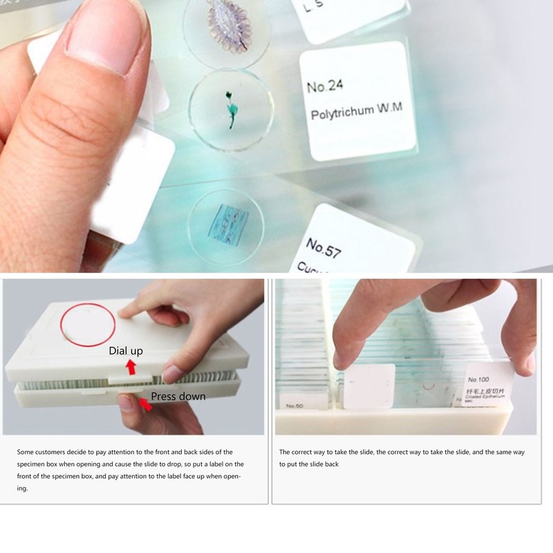 100pcs Microscope Slides Rounded Edge Plants Blank Microscope Slides for