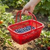 SEWOART Mini Fruit Basket with Lid 8.46X5.70X3.14In Plastic Berry Picking