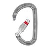 PETZL Am'D Screw Lock Carabiner Grey
