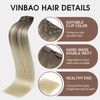VINBAO 18 Inch Clip in Hair Extensions Color 8 Ash