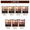 excel Skinny Rich Eye Shadow SR10 (Peony Brown) Palette Eyeshadow