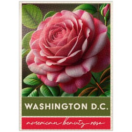 MyPuzzle State Flowers Series: Washington D.C, American Beauty Rose - Premium 1000 Piece Jigsaw Puzzle for Adults