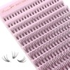 Parriparri Cluster Lashes 200 Pcs Individual Lashes 20D D Curl