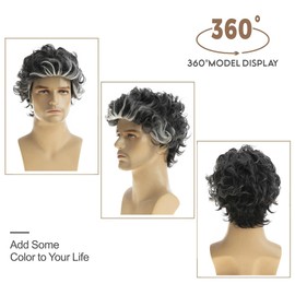 Dsimeig Men's Wig Grey Short Highlight Layered Wavy Cosplay Wigs for Men